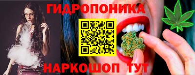 гашик Шахты